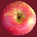 Apple by qubodup