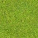 Grass by Lamoot