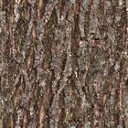 Wood by Bart K.